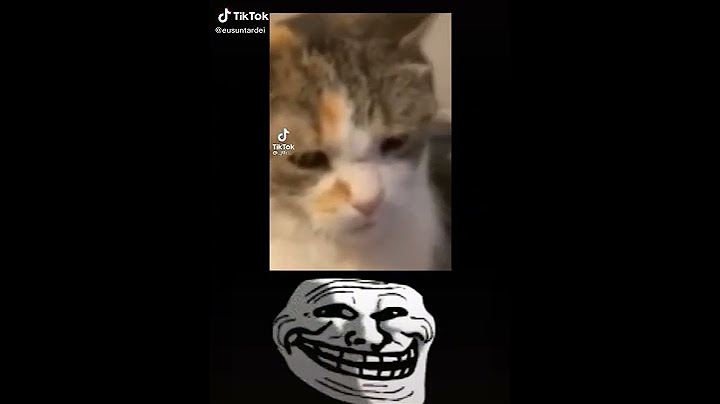 Gato al ver que le falta su patita :(