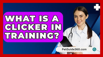 What Is A Clicker In Training? - PetGuide360.com