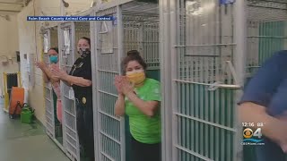 South Florida Animal Shelter Empty For First Time Ever