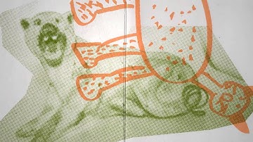 MCAD MFA—Jasio Stefanski