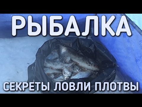 РЫБАЛКА 2017 / ПЛОТВА / СЕКРЕТЫ ЕЁ ЛОВА / ТЕСТО БОЛТАНКА