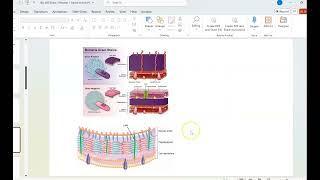 Bio 205 Exam 1 Review