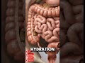 What Happens Inside Your Body When You Drink Water First Thing in the Morning? 💧