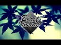 Weed Smoking Hip Hop Beat - Soul (Beast Inside Beats)