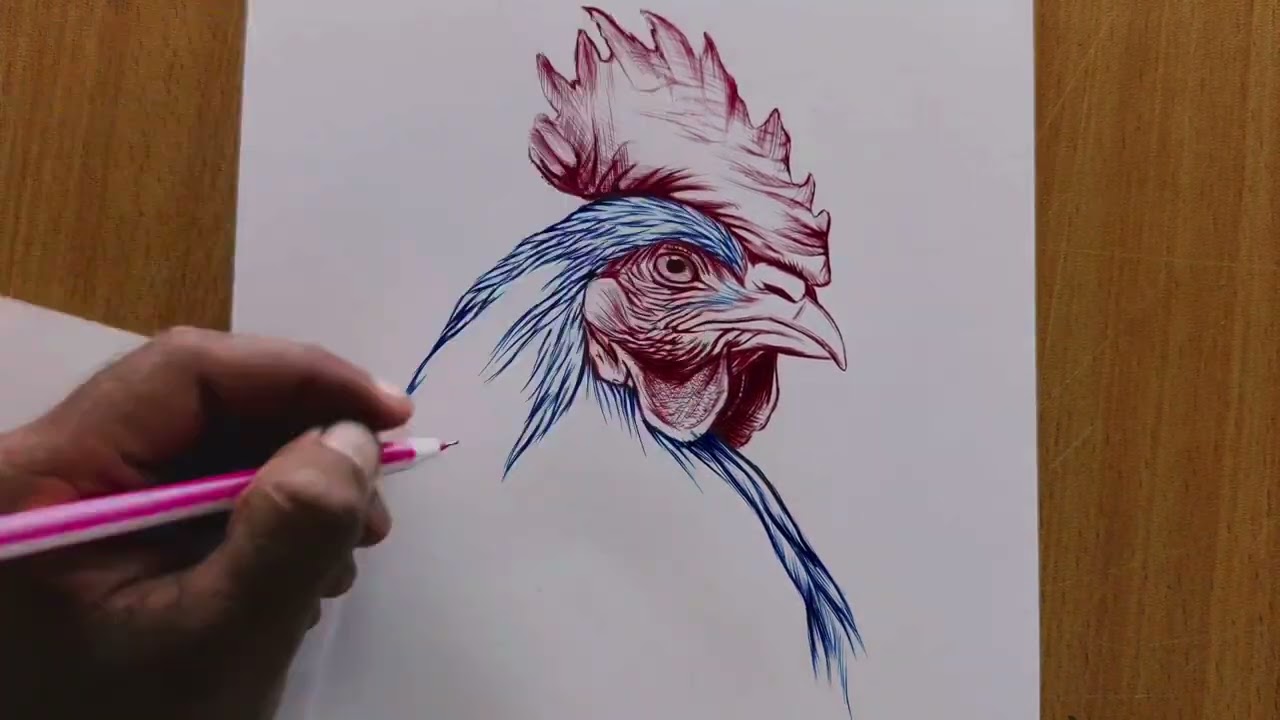 Rooster Realistic drawing | ballpoint pen drawing | Timelapse drawing | rooster face drawing