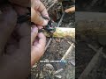 One Rope Trick Everyone Should Know