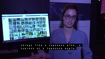 Tech Showcase: Custom Vision Service