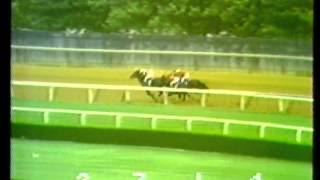 Ruffian - 1974 Astoria S. (G3)