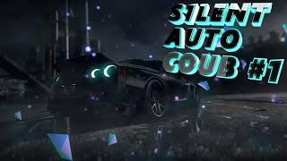 S1LENT AUTO COUB #1