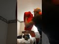 La vida es un carnaval 💃🏽🕺🏾 y hay que bailar 🤪