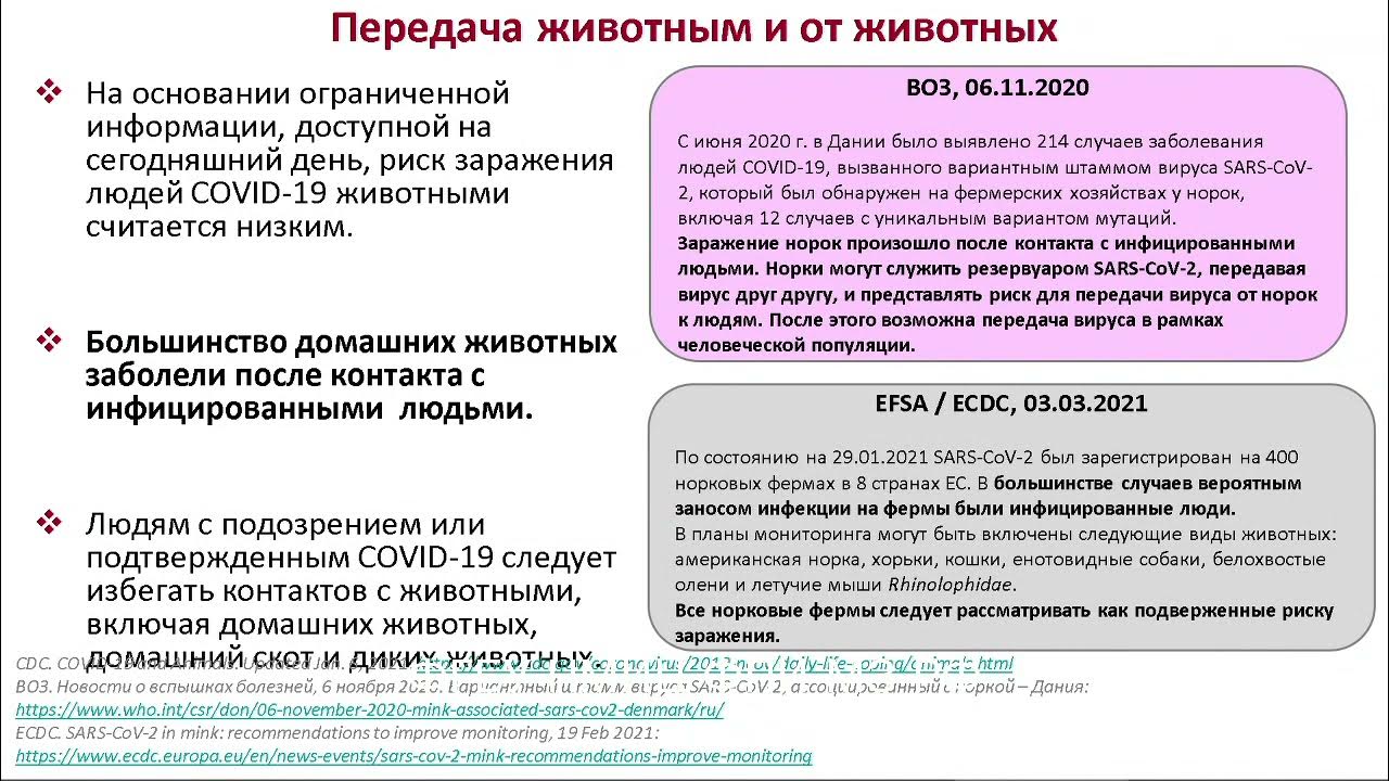 Особенности наследственной патологии. Временные методические рекомендации. Методические рекомендации по коронавирусной инфекции. Тест по инфекции с ответами. Клинические симптомы коронавирусной инфекции.