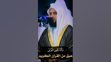 تلاوة هادئة تريح القلب والعقل😌||مشاري راشد العفاسي||قرآن كريم||حالات واتس اب