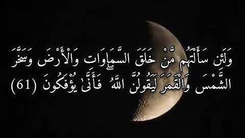 (وَلَئِن سألتَهم مَن خلَقَ السماوات والأرض وسَخَّر الشّمس والقمر لَيقولُنَّ الله) القارئ وديع اليمني