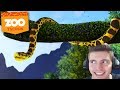 COMPREI UMA COBRA (SUCURI) - Zoológico do Lipão #05