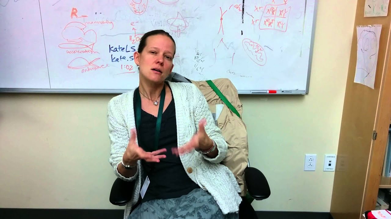 Dr. Kate Schafer's Thoughts on Paris Talks - YouTube