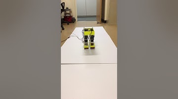 Quadruped - Walking gait