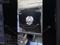 Hidden problem. Real danger.#pets #vet #veterinary #mri #ctscan #animals #petcare #dog #cat #viral