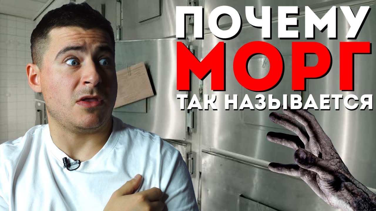 Как расшифровывается МОРГ | Отвечаю на ваши комментарии #14 | Мамедыч ...