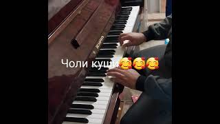 Чоликуши 🥰🥰🥰