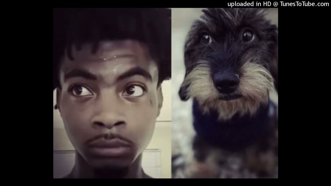 evil plugg + youtube ad sample + lazer dim 700 + dark plugg type beat "meme!