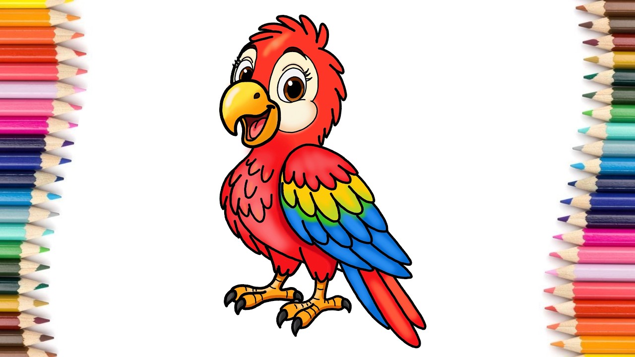 How to draw a beautiful Parrot | Easy Step by Step Drawing Tutorial ...