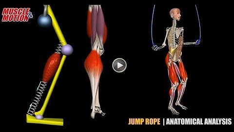 Jump Rope | Anatomical Analysis + Active Muscles