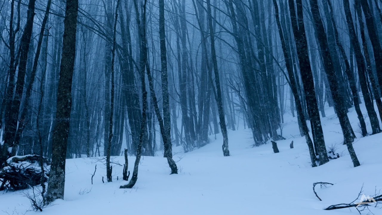 Home is where your heart is