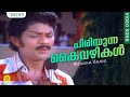 പിരിയുന്ന കൈവഴികള്‍ | Piriyunna Kaivazhikal | Aniyaatha Valakal | Evergreen Film Song |  KJ Yesudas