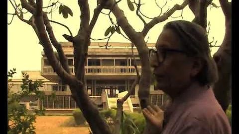 Doshi Chapter 1 - "Eight months with olives and ch...
