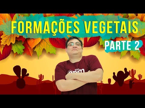 Vídeo: As coníferas perdem folhas?