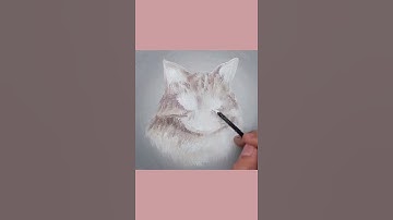 How To Draw A Cat | With Acrylic Painting
