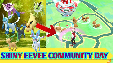 Get all shiny eevee evolution ||| eevee community day ||| shiny eevee