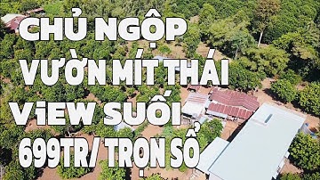 1.278m2, vườn mít thái, view suối, chủ ngộp lắm rồi, bán hết đất về quê, sông ray cẩm mỹ