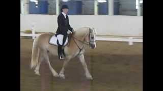 USDF Intro Test B