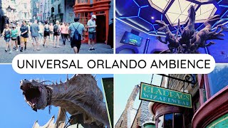Universal Studios Orlando I A Walk in The Park