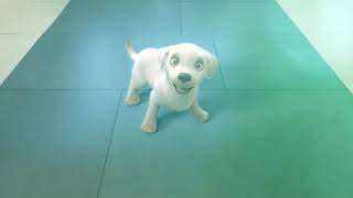 Download Lagu Pip | An Animated Film Trailer MP3