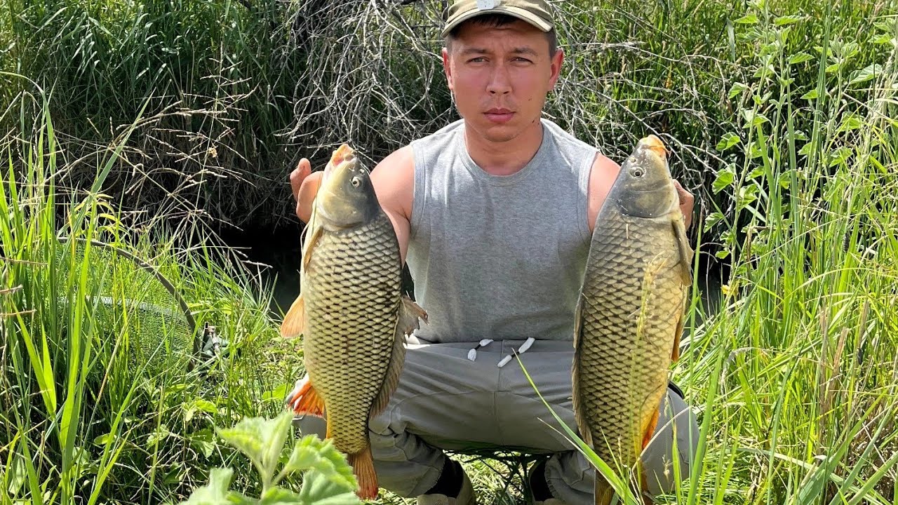 Открытие рыбалки в Алматы. Лучшая рыбалка за 30 лет. Просто Гиганты Сазаны, миниречка!