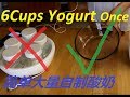 【酸奶系列】【Ep2】超级简单偷懒版酸奶制作6cups yogurt ONE TIME