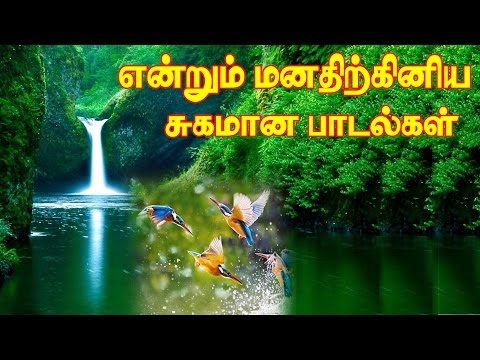 என்றும்-இனிமையான-மெலடி-கானங்கள்-vol-5-mp3|evergreen-tamil-songs|illayaraja-melody-hits-part-5