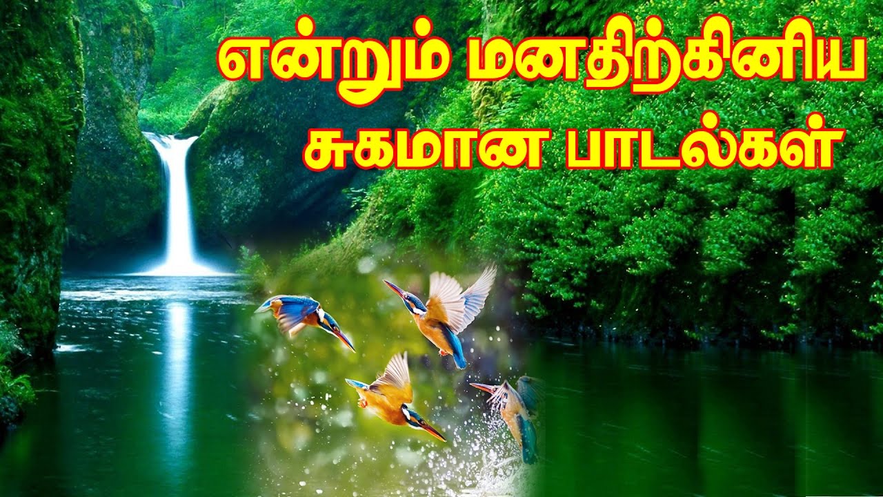 என்றும் இனிமையான மெலடி கானங்கள் Vol-5 MP3|Evergreen Tamil ...