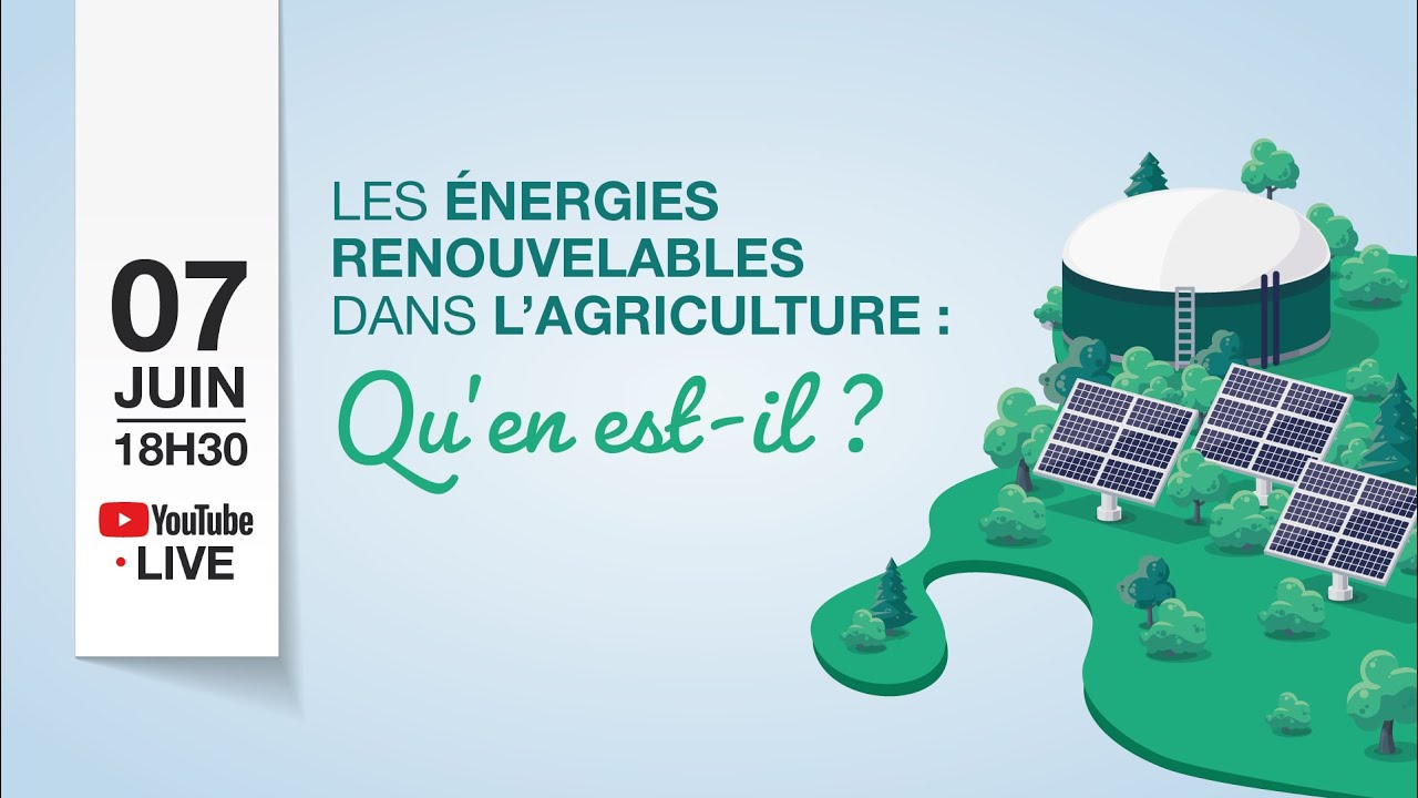 Les énergies renouvelables dans l’agriculture : Qu'en est-il ?