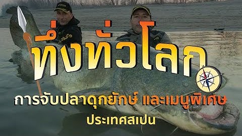 ทึ่งทั่วโลก |:| ปลาดุกยักษ์ และเมนูพิเศษ ประเทศสเปน