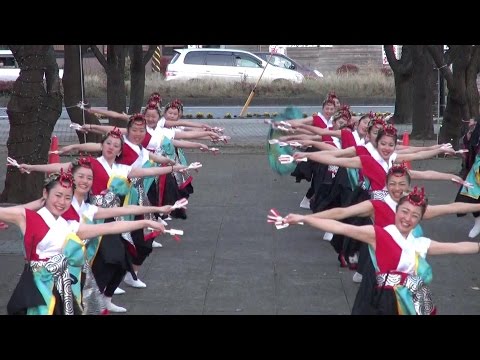 Funny　2014　大地～空と風　あやせイルミネーションde“よさこい”乱舞2014　イルミネーション桜並木会場