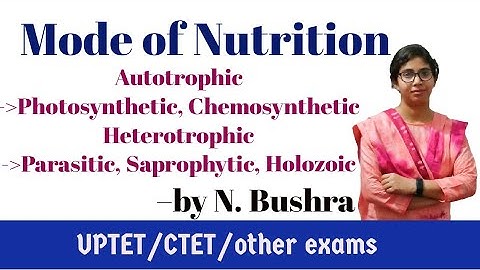 Mode of Nutrition - by N Bushra #outofthebox #CTET#UPTET #SCIENCE_PAPER_2