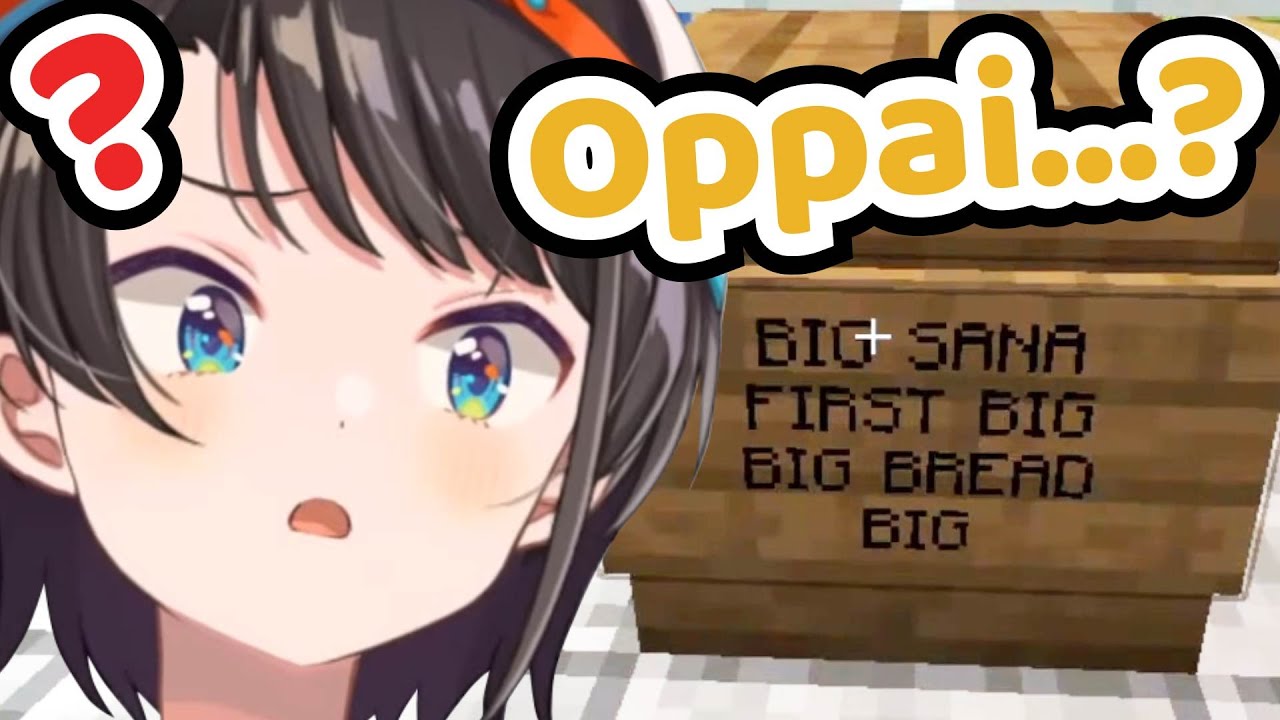 Subaru Doesn't Understand What Sana's Sign Board Means【Hololive | Oozora Subaru】