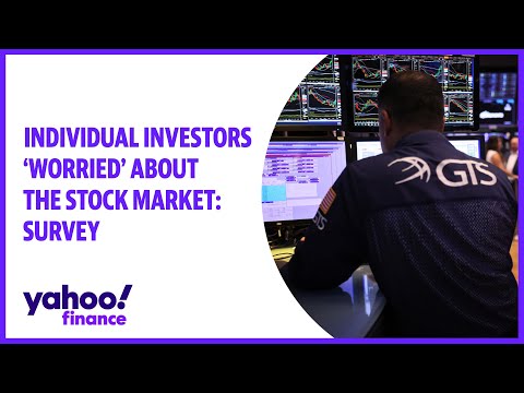 Individual investors 'worried' about the stock market: survey