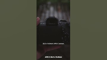 What Sensors Do They Have? Canon 77D vs Canon 600D