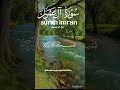 Verse 21-24 Surah Al Imran|Urdu Translation ❤️|@the-divine-revelation #surahalimran