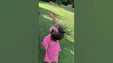 Enjoying The Natural Wonder 