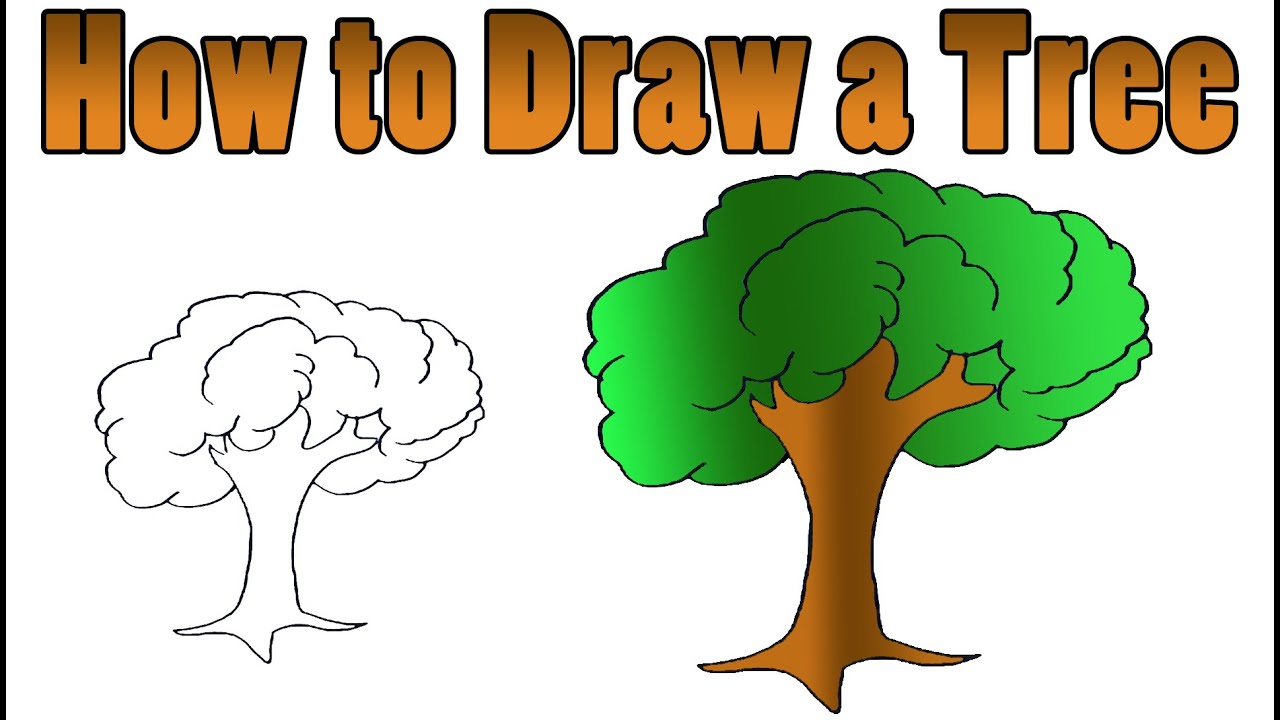 How to Draw a Tree  YouTube